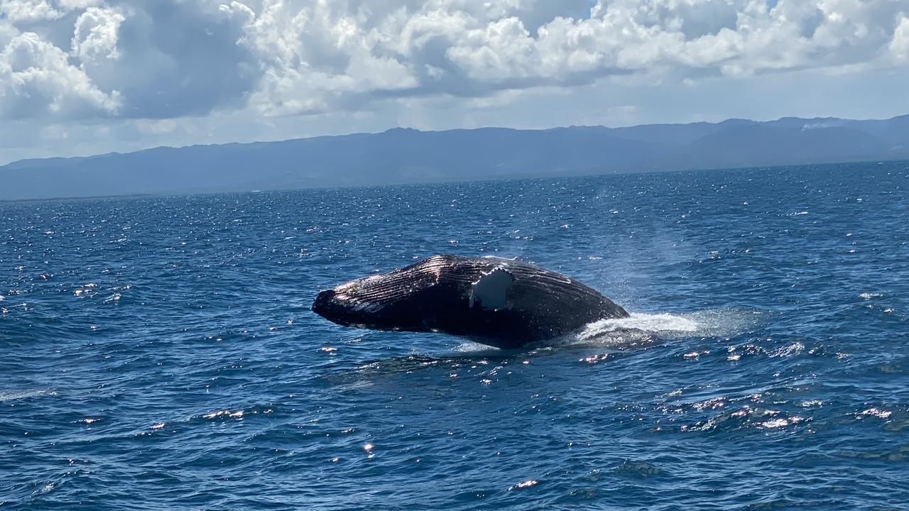 Samaná 7